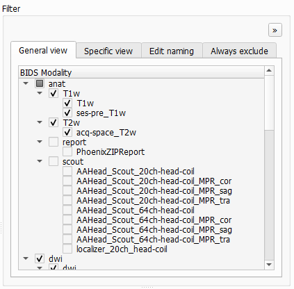 BIDS Manager general filter view