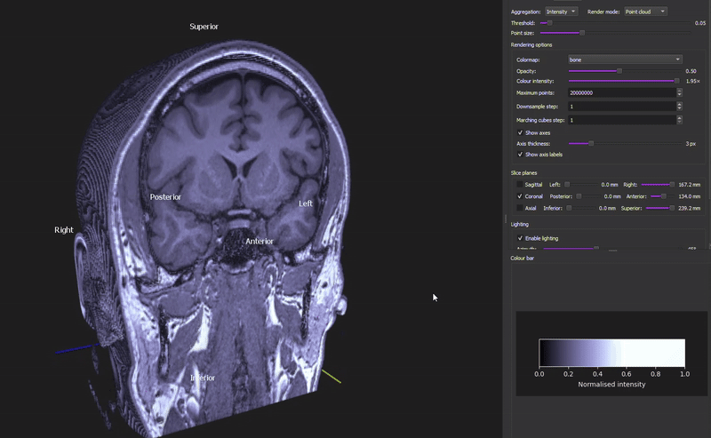 BIDS Manager 3D viewer animation