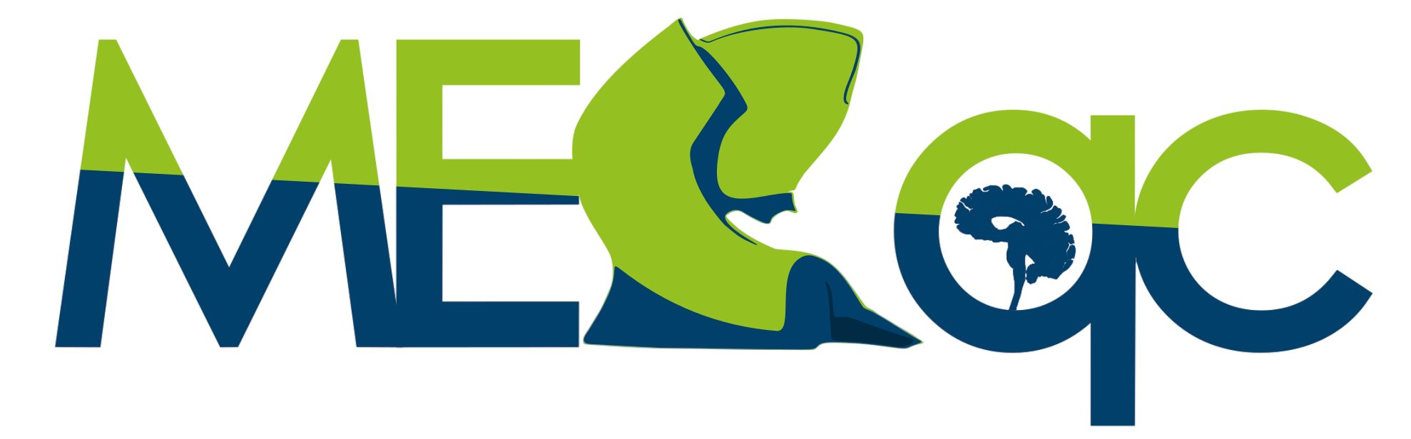 MEEGqc logo